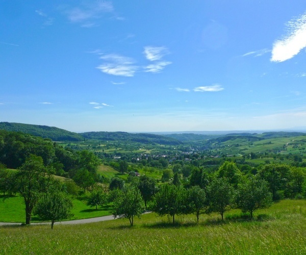 Weingter in der Umgebung